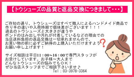 トウシューズ【BLOCH】ブロックのトウシューズ⇒アメリー(ソフト