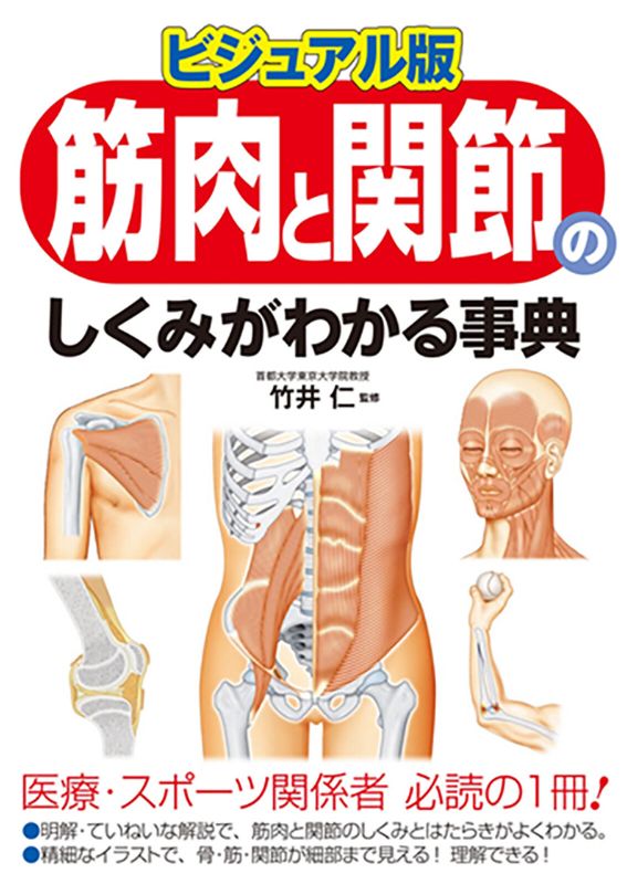ビジュアル版 筋肉と関節のしくみがわかる事典 図解で学ぶ体の動きと構造 柔軟性 姿勢 トレーニング